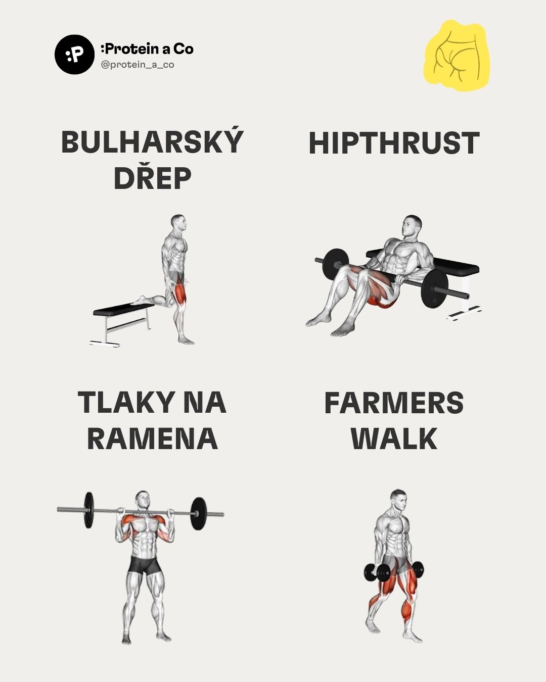 Nejlepsi-cviky-do-fitka-2-clanek-cviceni-proteinaco